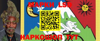 шишки Пенза
