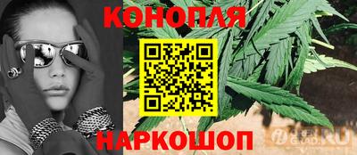 шишки Пенза