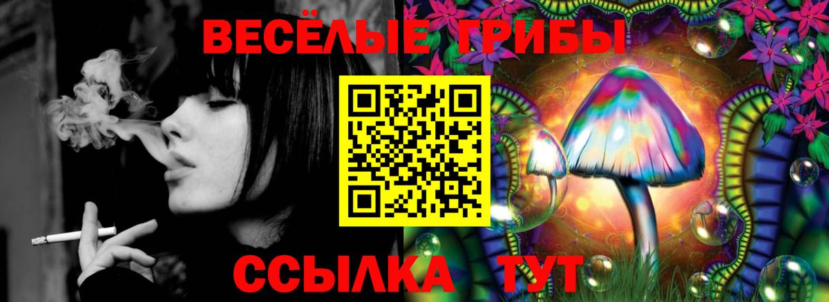 Серпухов  Галлюциногенные грибы GOLDEN TEACHER  Вход с VPN 