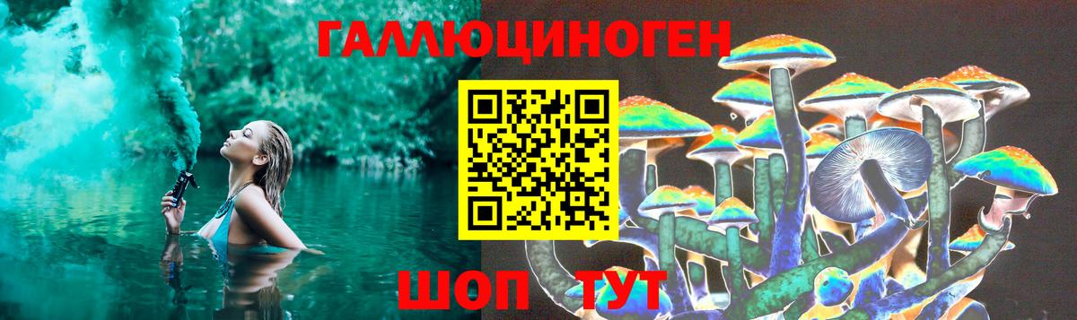 Галлюциногенные грибы Psilocybine cubensis Серпухов